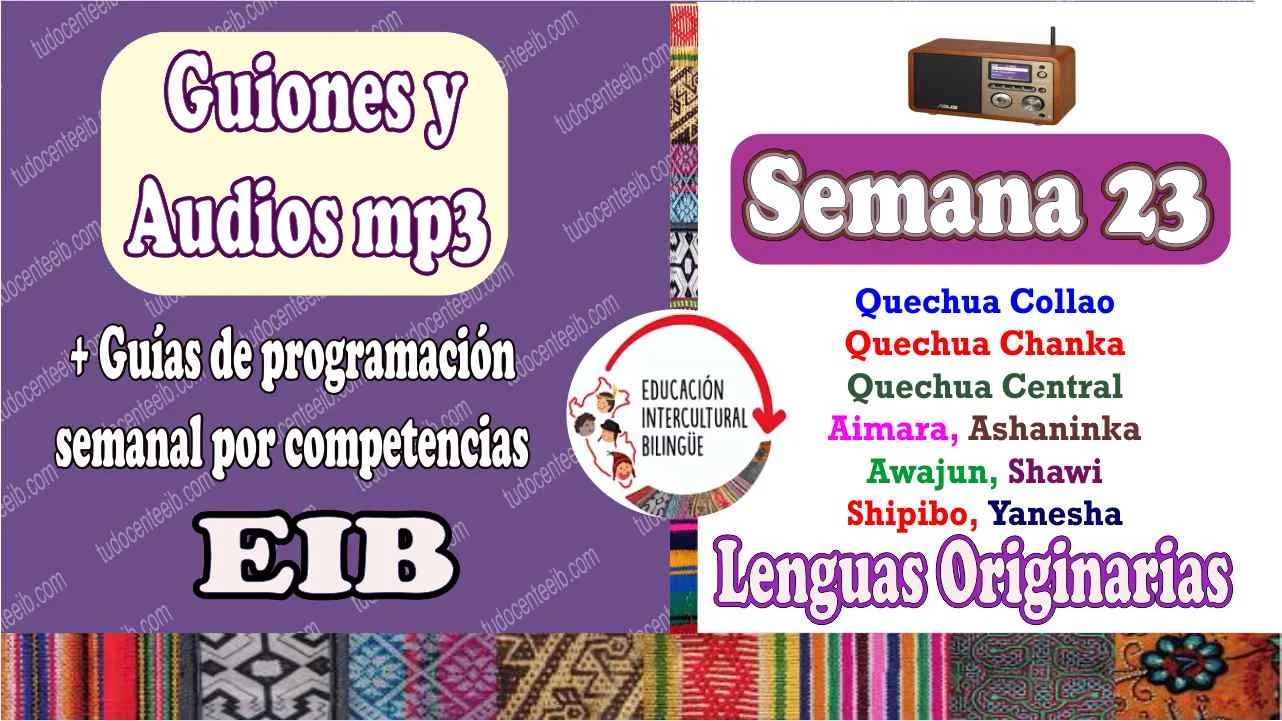 audios y guines EIB semana 23