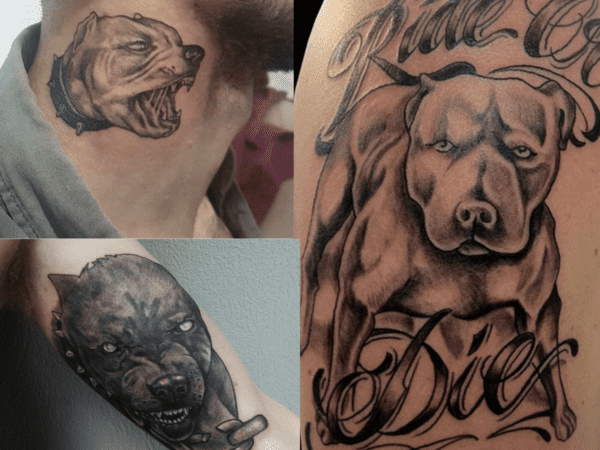 Tatuagem De Pitbull【2021】» +40 Ideias Animais Para Escolher! 450_x_600_png