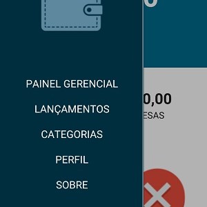 Aplicativo de Controle Financeiro Pessoal para smartphone celular feito em Delphi Rio xe10.4.3