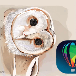 CorelDraw Graphics Suite 2023 Permanente Para Windows ativado