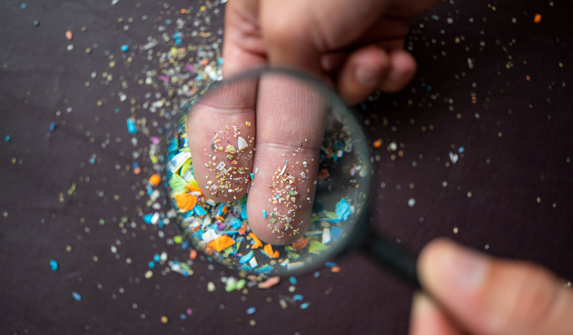 La bacteria que podría «salvarnos» de los microplásticos en los cuerpos de agua