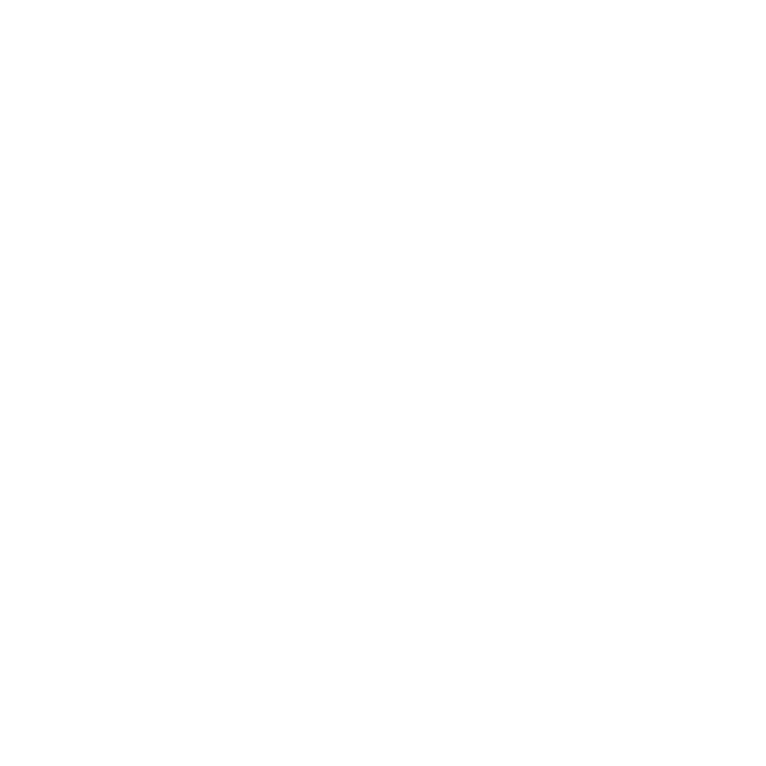 five star service icon