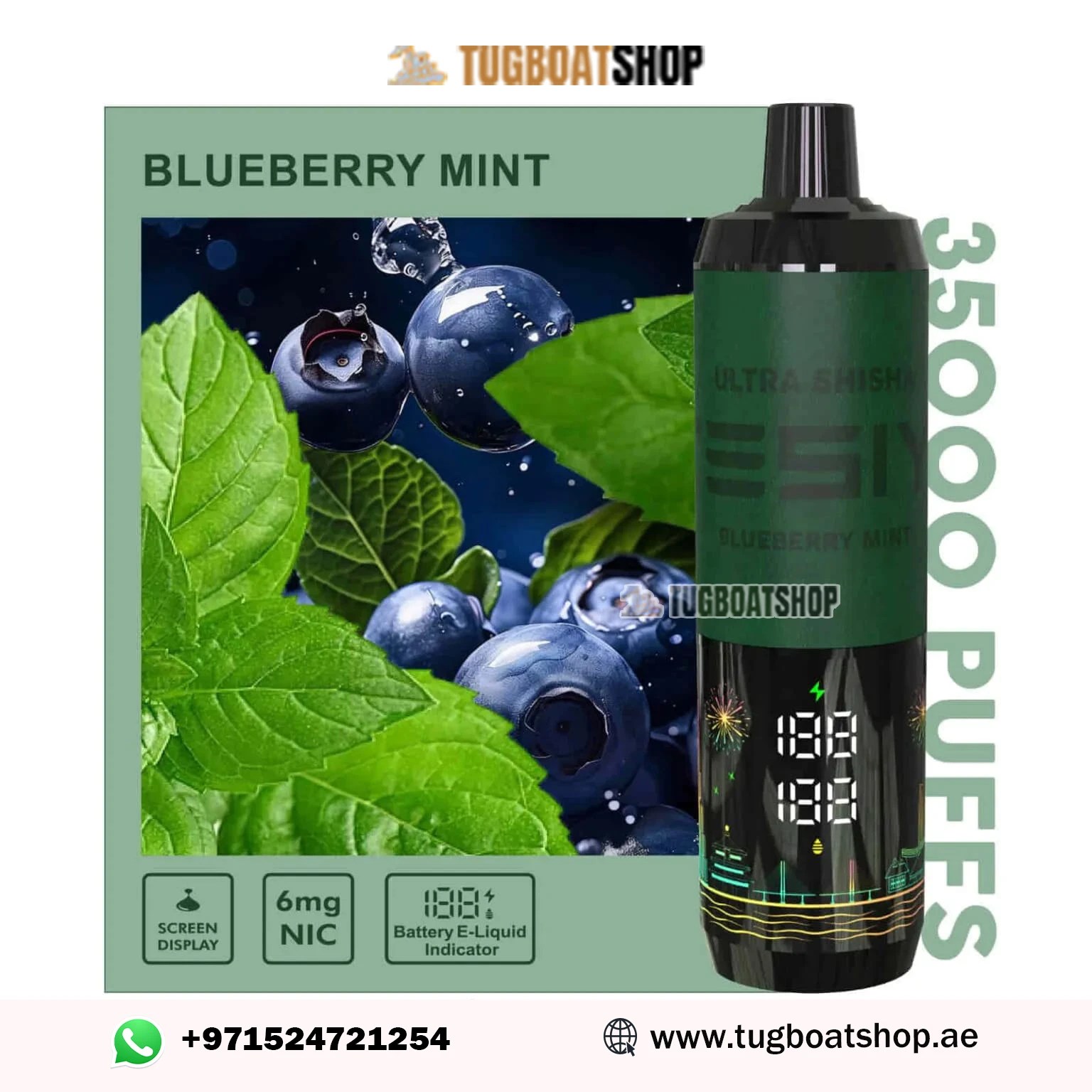 Tesiyi Ultra Shisha 35000 Puffs Blueberry Mint Disposable Vape In UAE