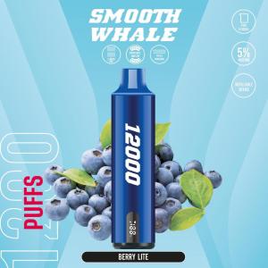 WhatsApp Image 2024 01 06 at 12.20.04 AM