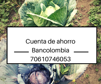 Recibimos donaciones
