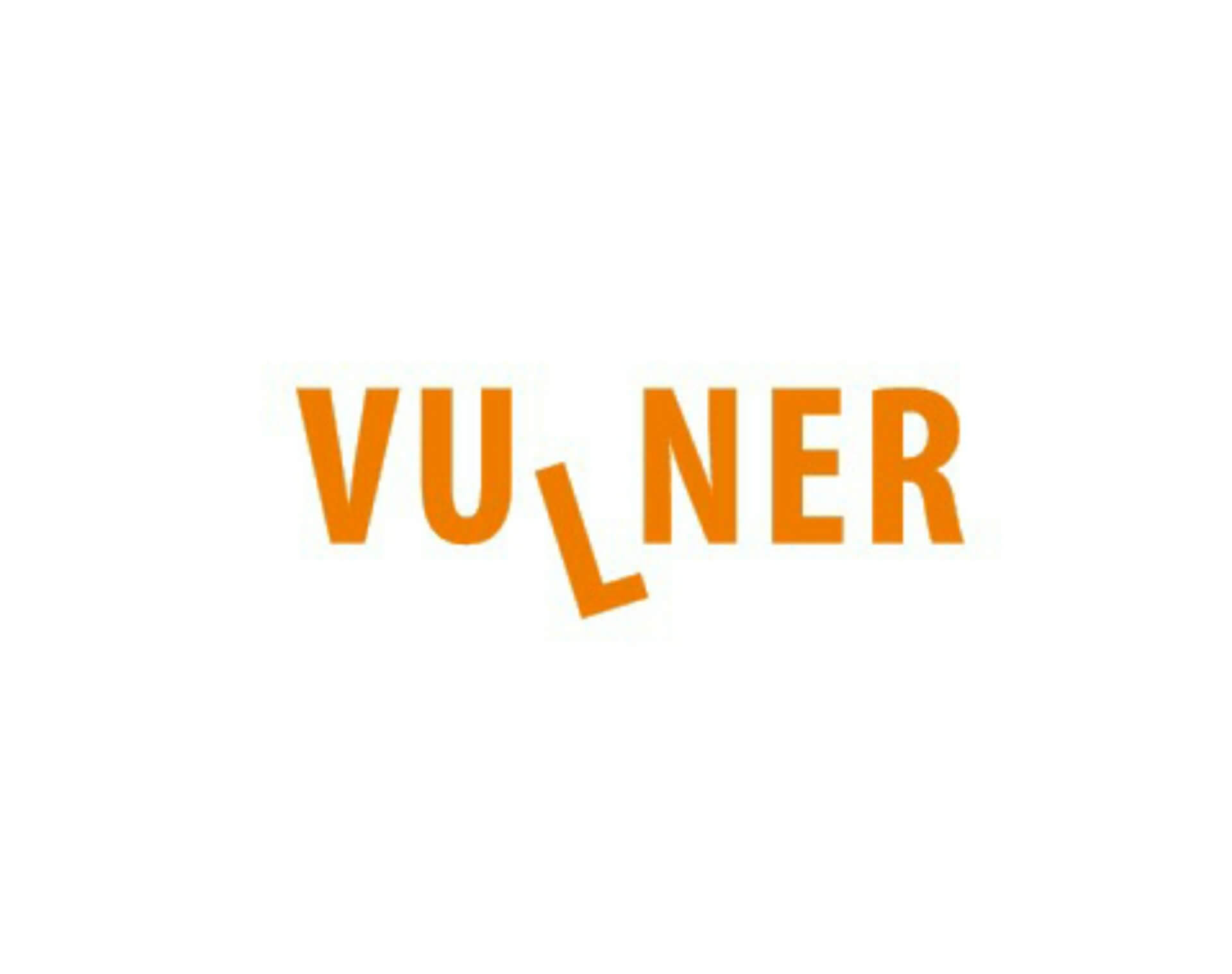 Interview on Vulner Poject / With Luc Leboeuf