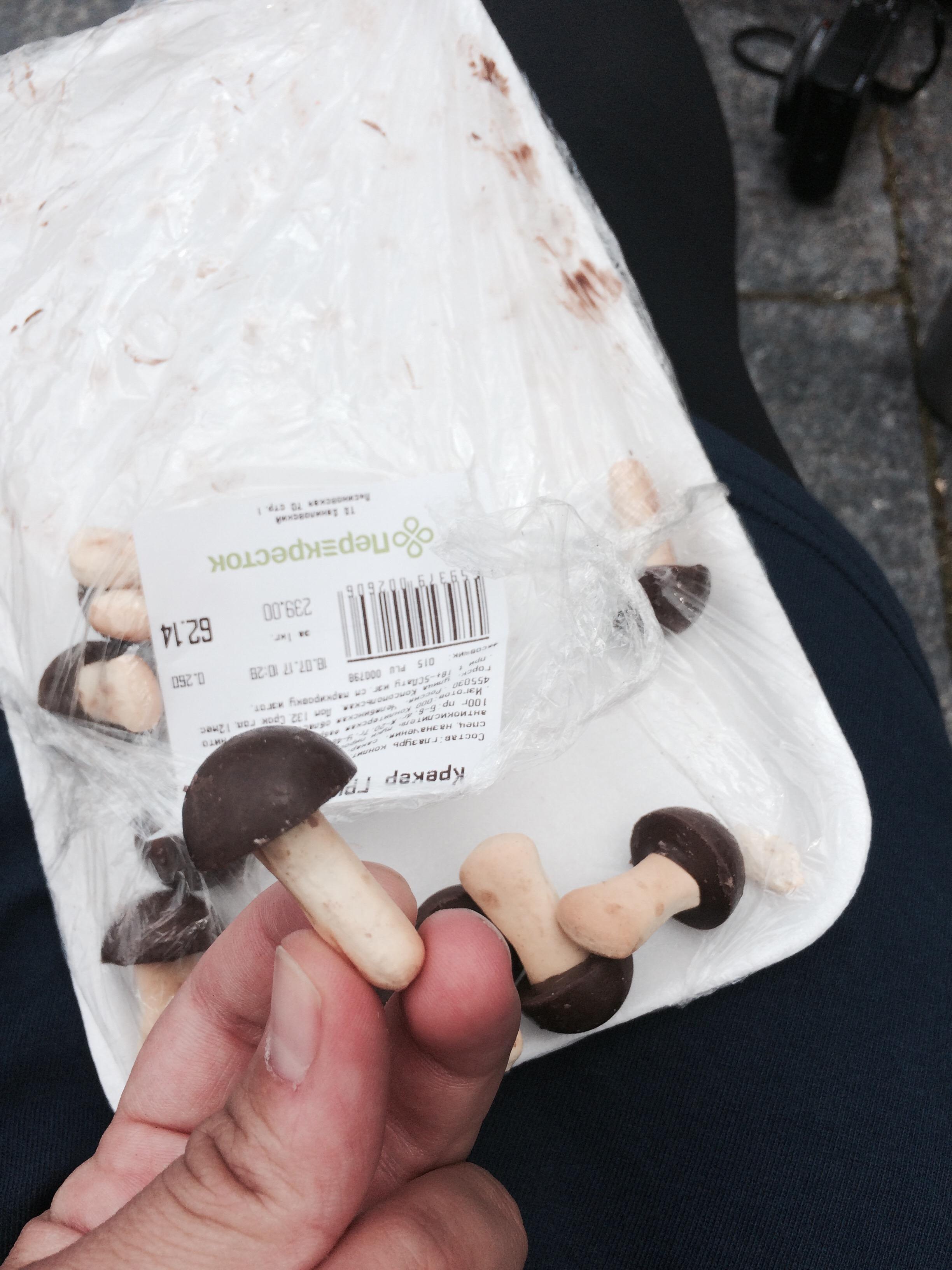 schoko-pilz-snack