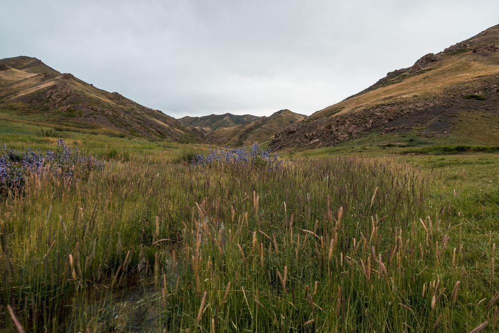 Yolun Am, Eingangsbereich