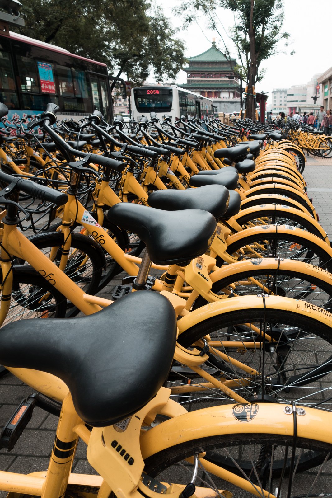 ofo-Auswahl