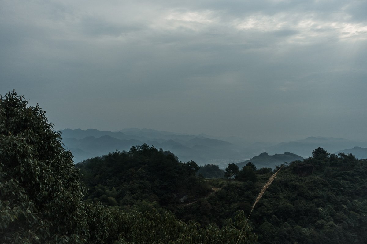 smoggy morning