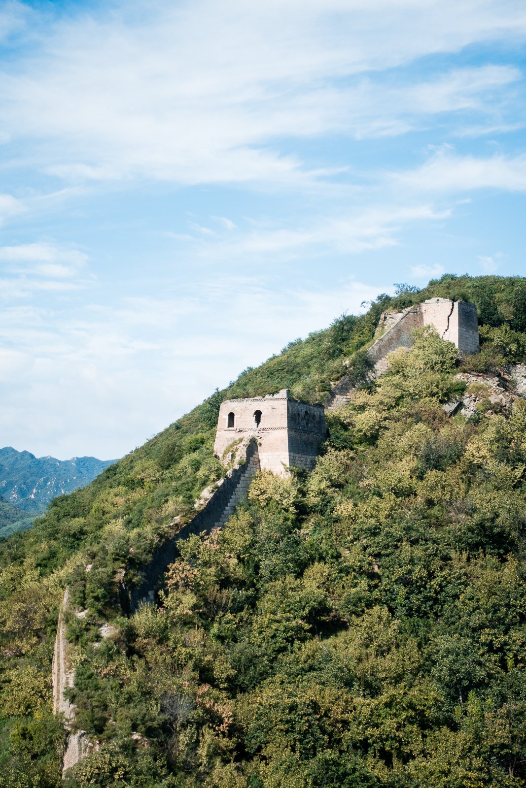 etwas bewachsen