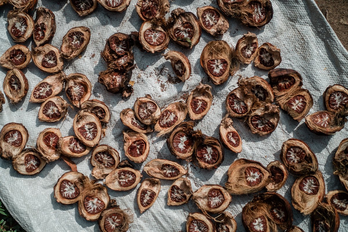 Suchtmittel-Vorbereitung