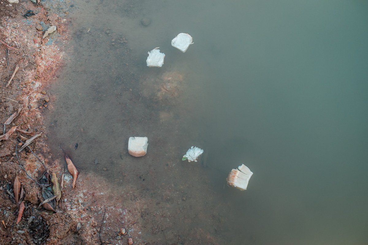 Fischefüttern in sinnlos