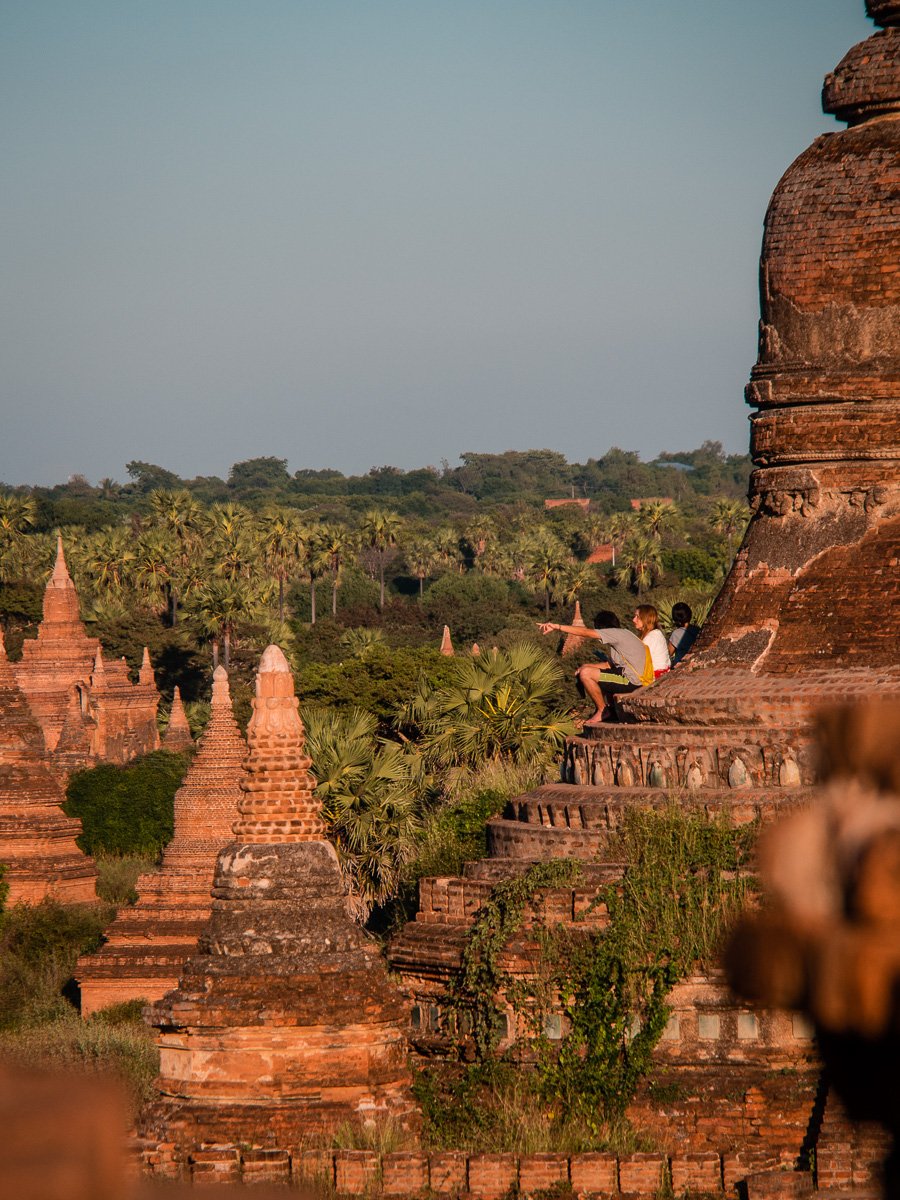 Die haben auch gute Sicht