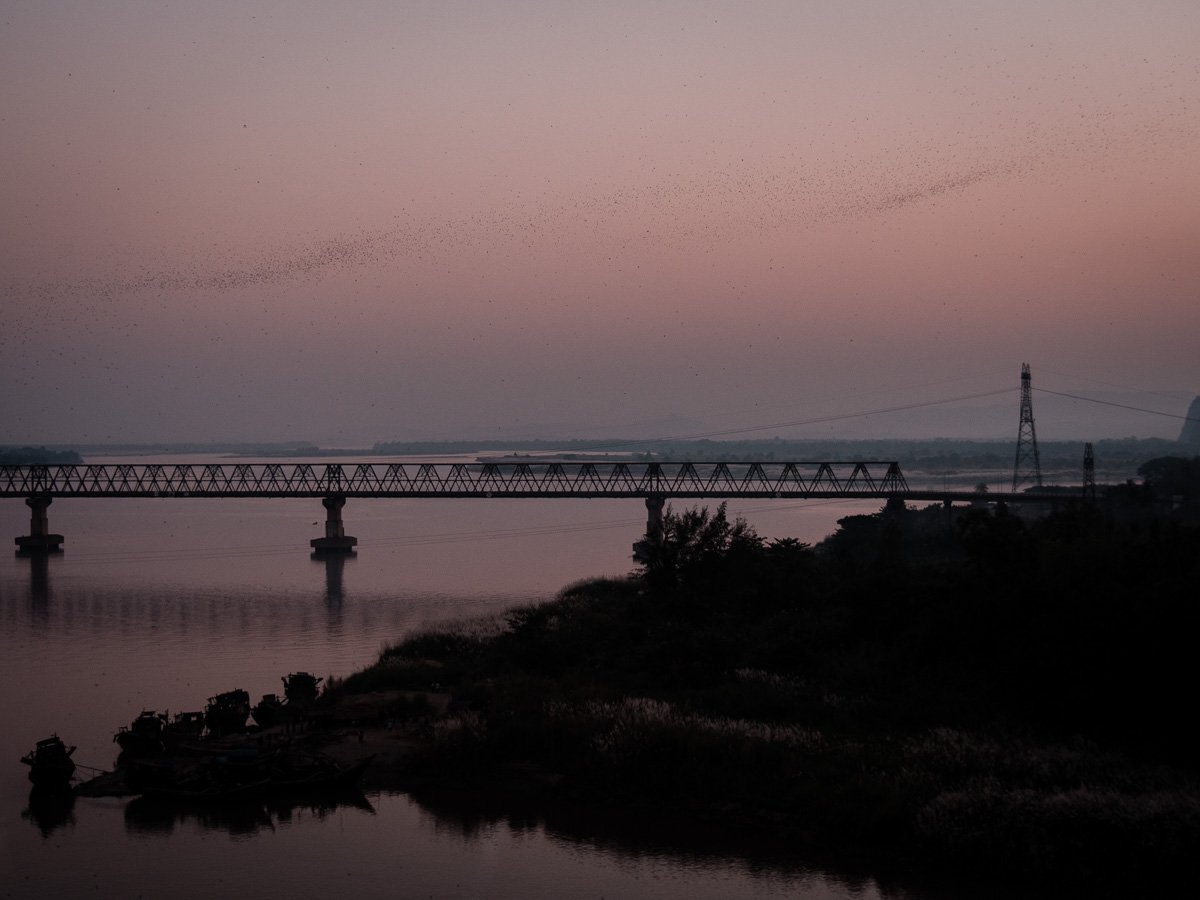 Fledermausschwarm II