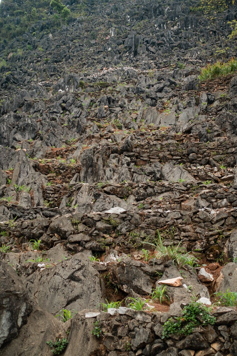 Miniterassen, selbstgemauert