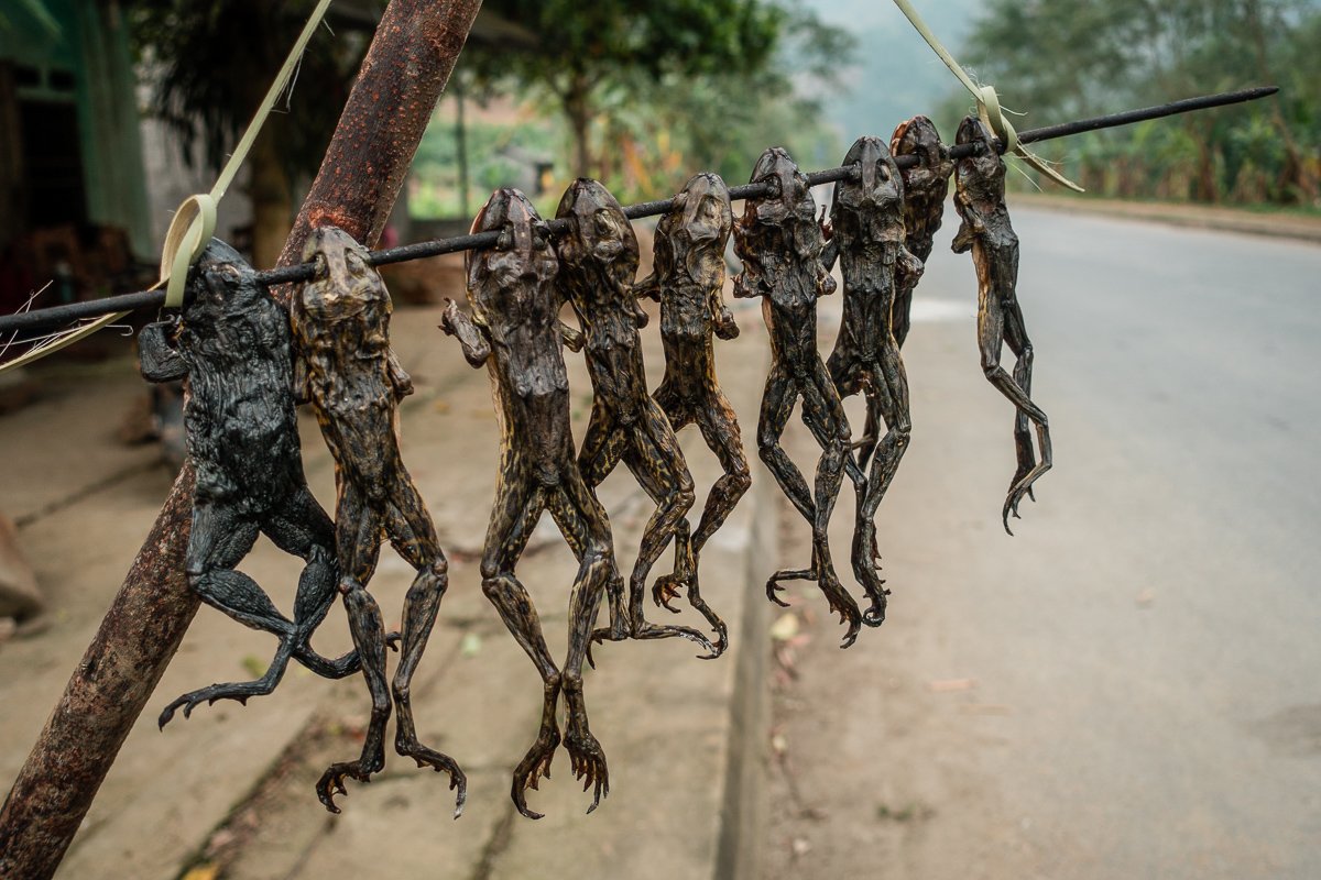 Denen gehts auch nicht mehr gut