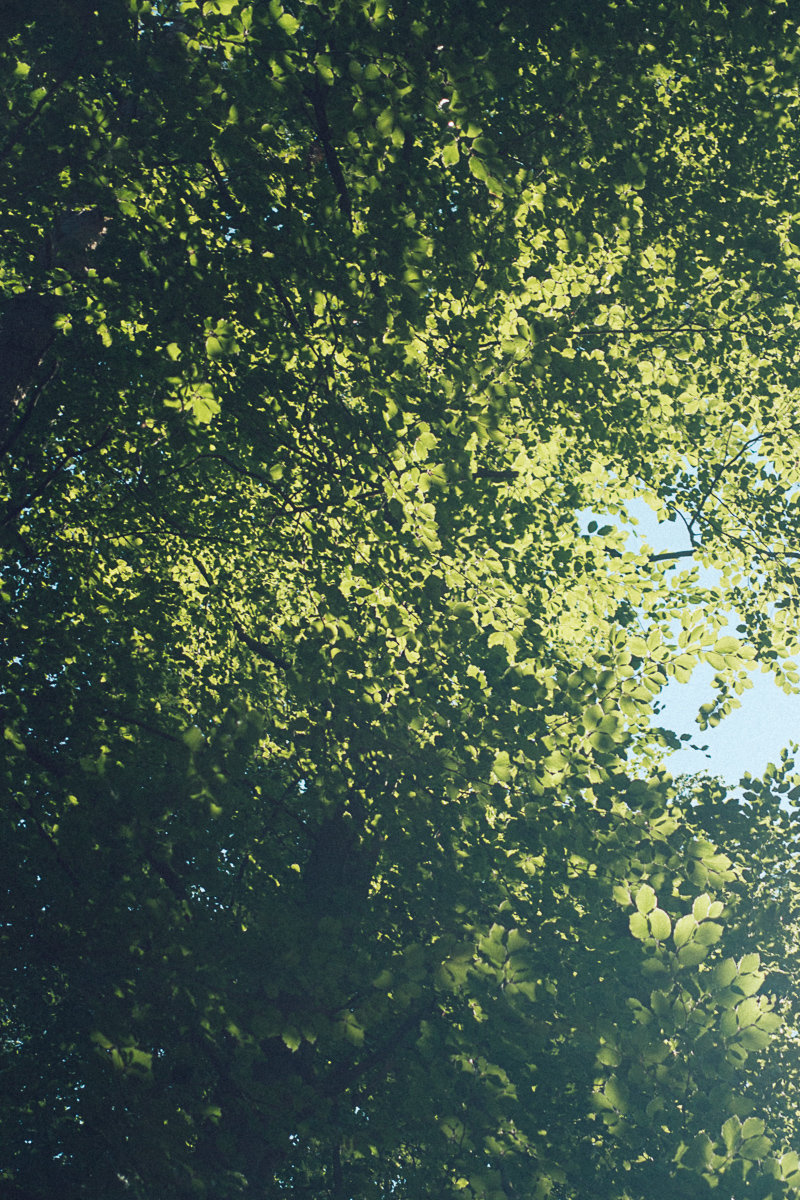 so diffus, so hip, so us