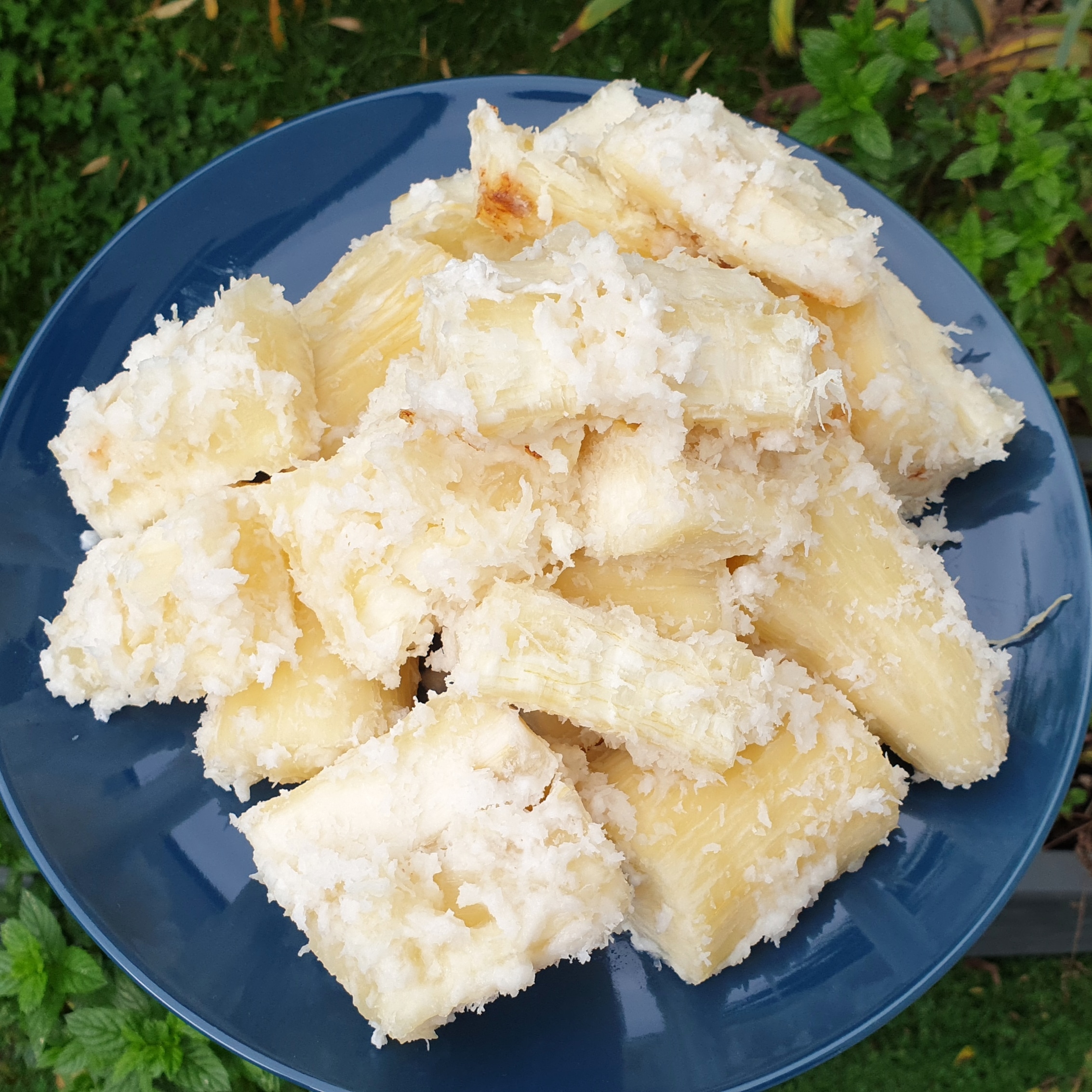 Manioc au lait de coco Khoai mi nuoc cot dua