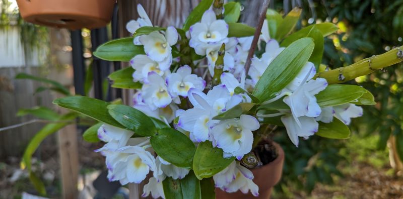 Emulating Ghidra S Pcode - Modern Space Design - Desktop