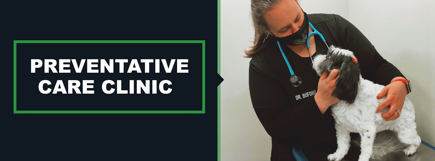 preventative care clinic pricing - tulsa spcatulsa spca on affordable pet care tulsa