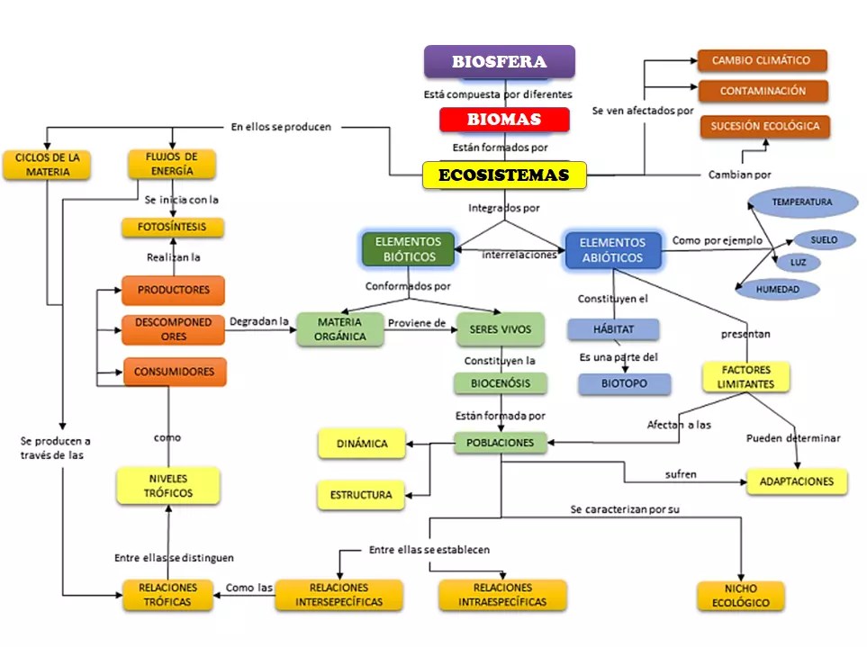 Mapa conceptual los ecosistemas