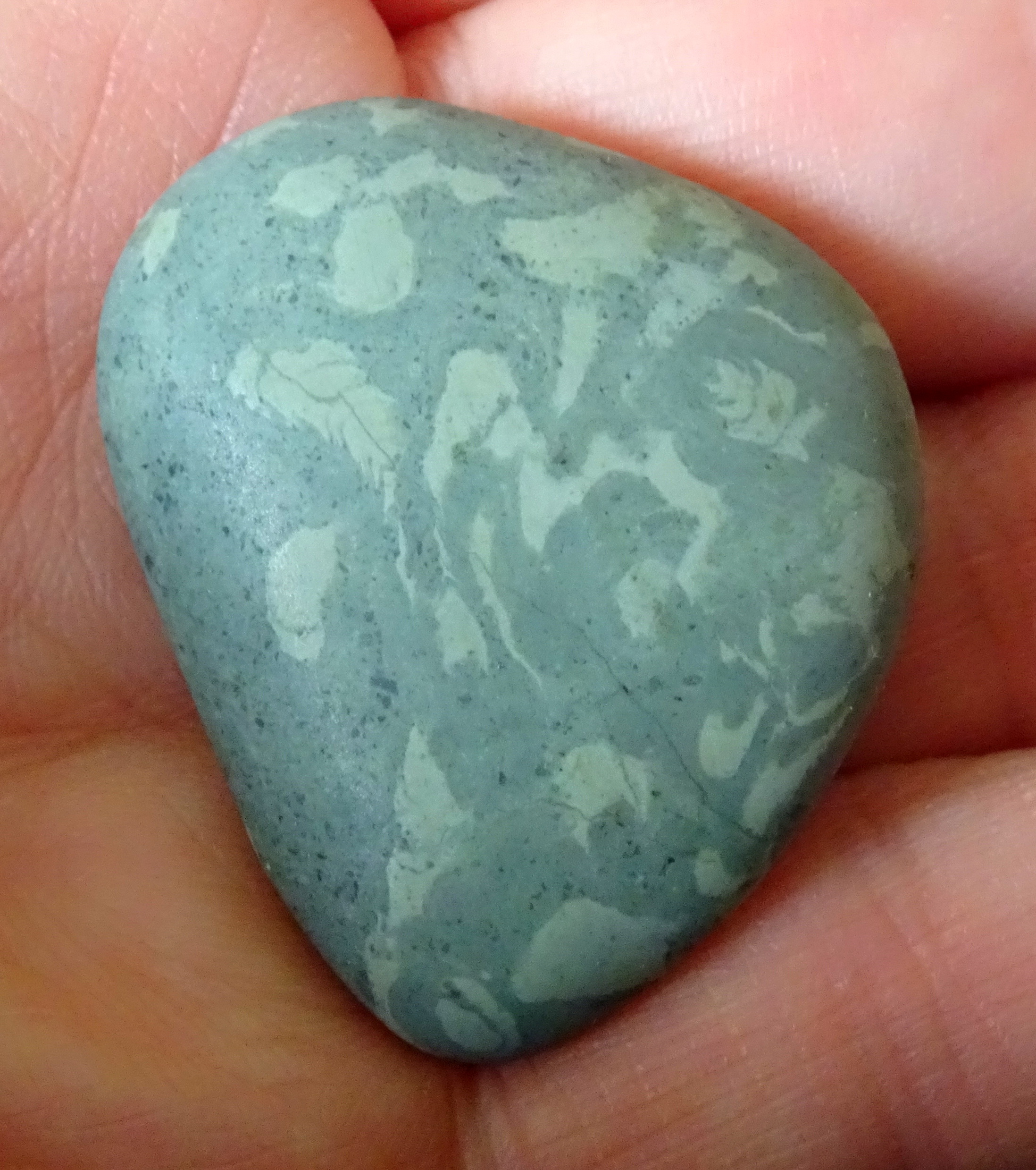 Fossil worm cast traces on Southland beach stone