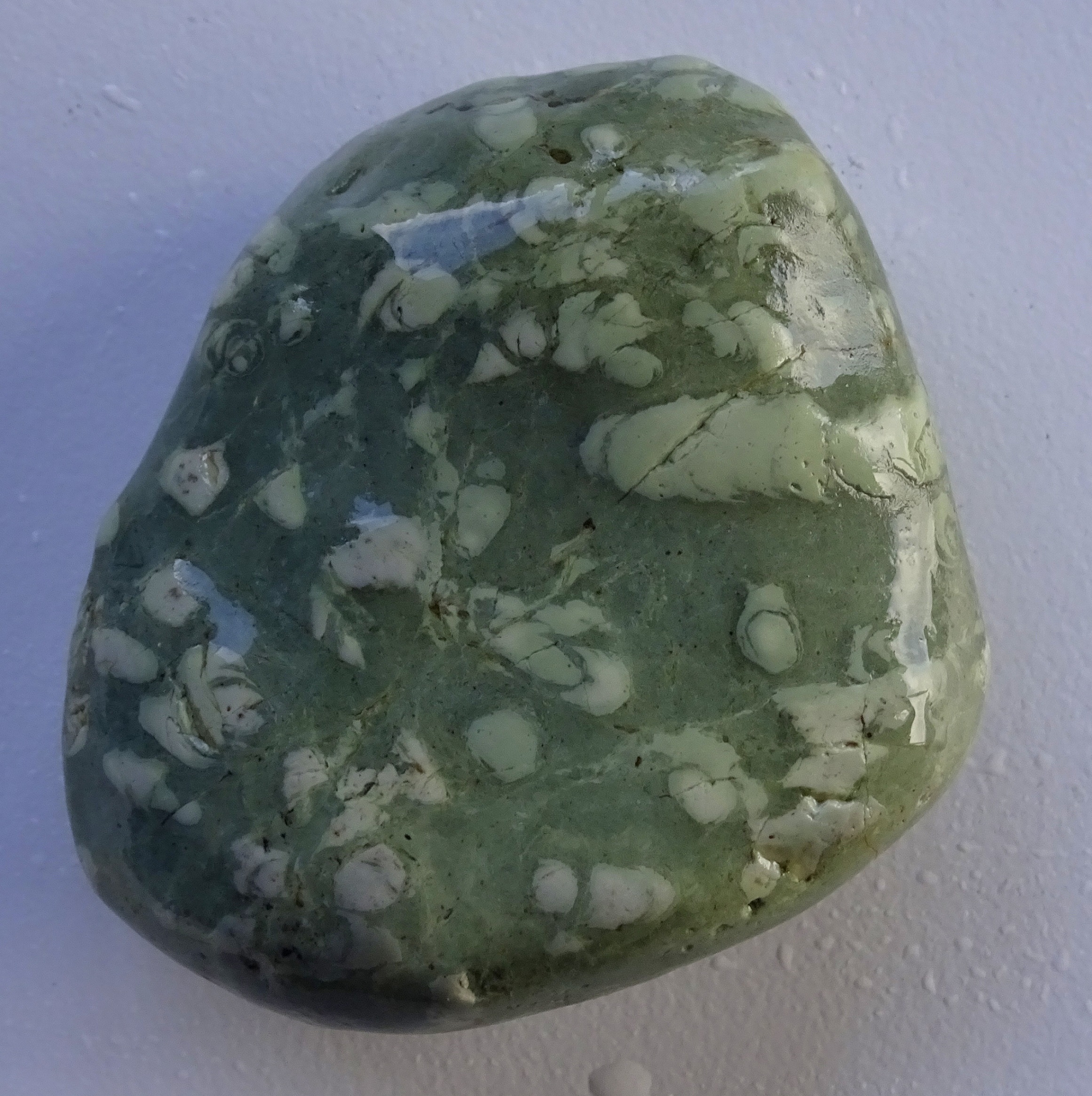 Fossil worm cast traces on Southland beach stone