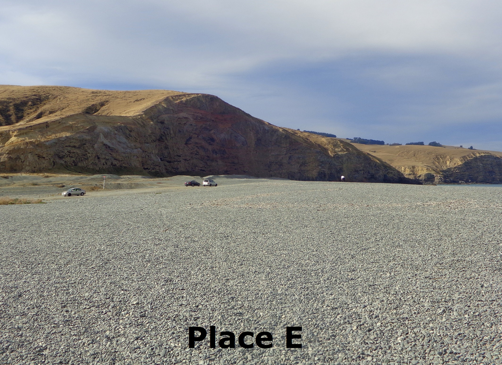 E