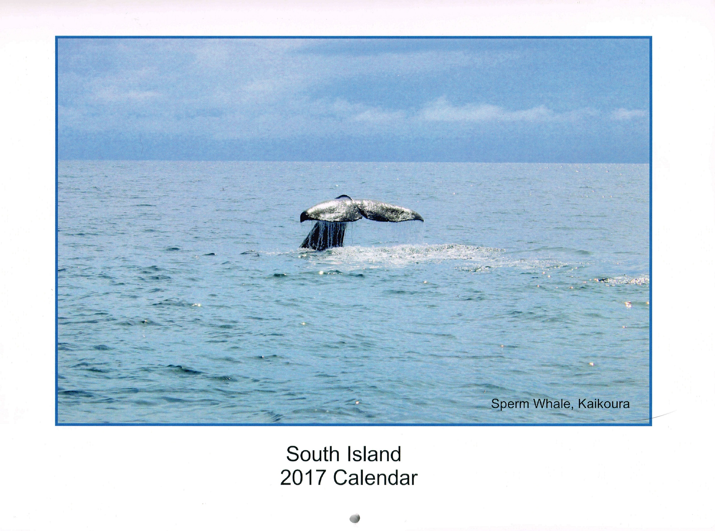 2017 Travel Theme, a South Island trip