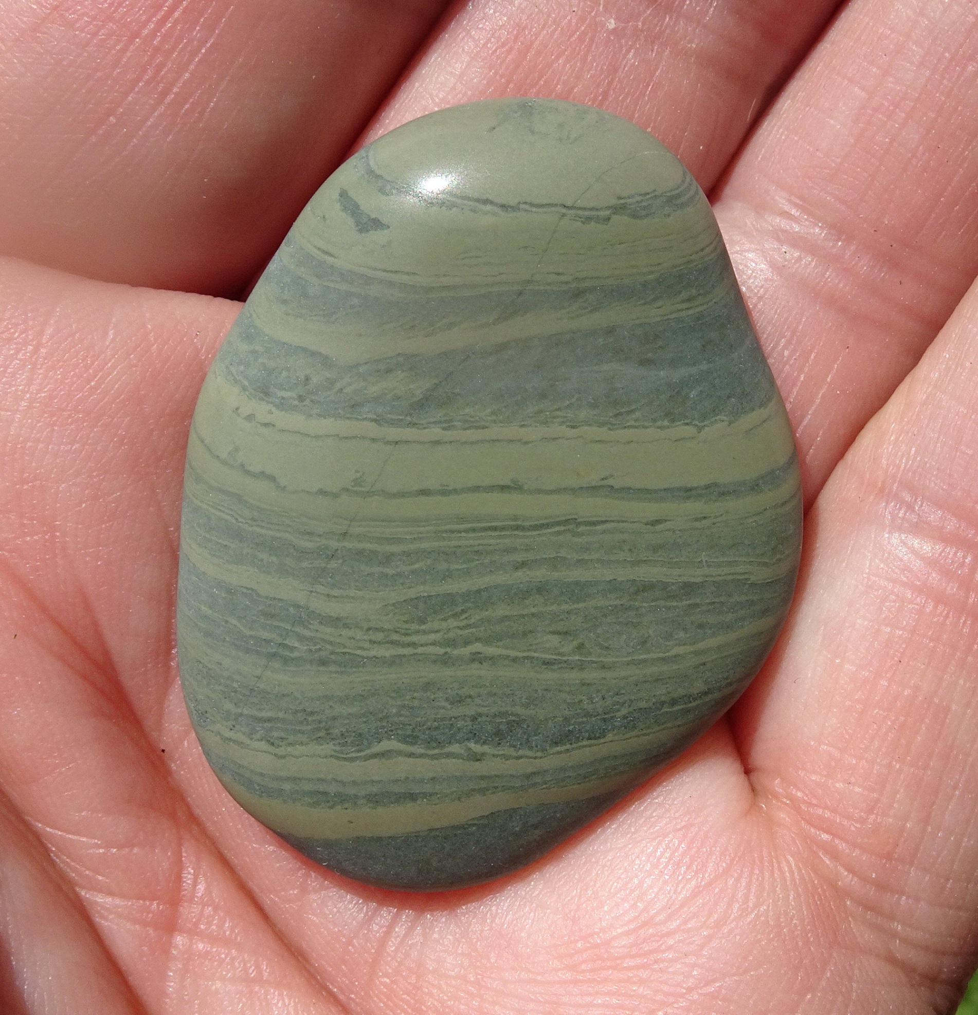 Argillite mudstone with bands.