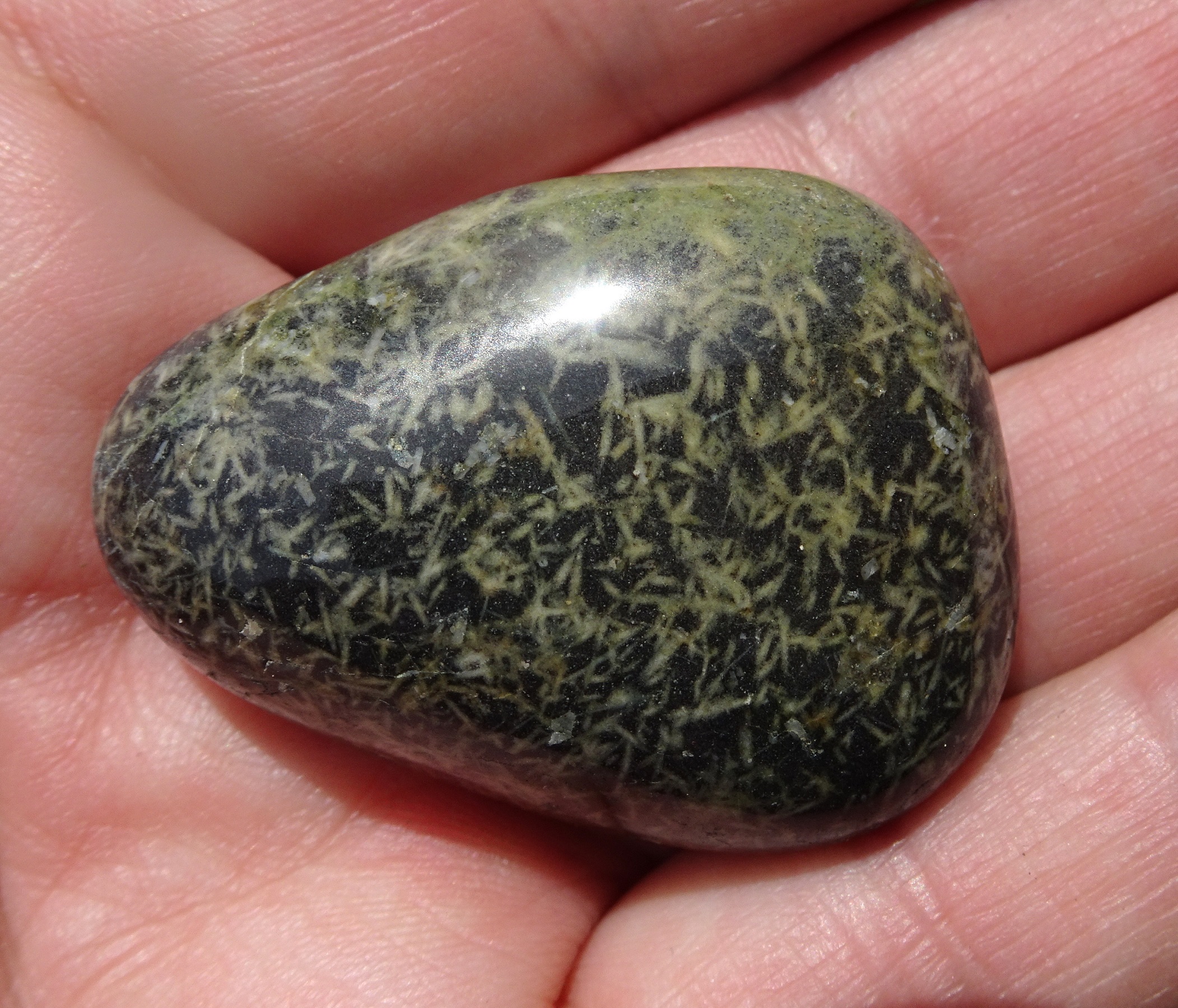 Volcanic stone with crystals..