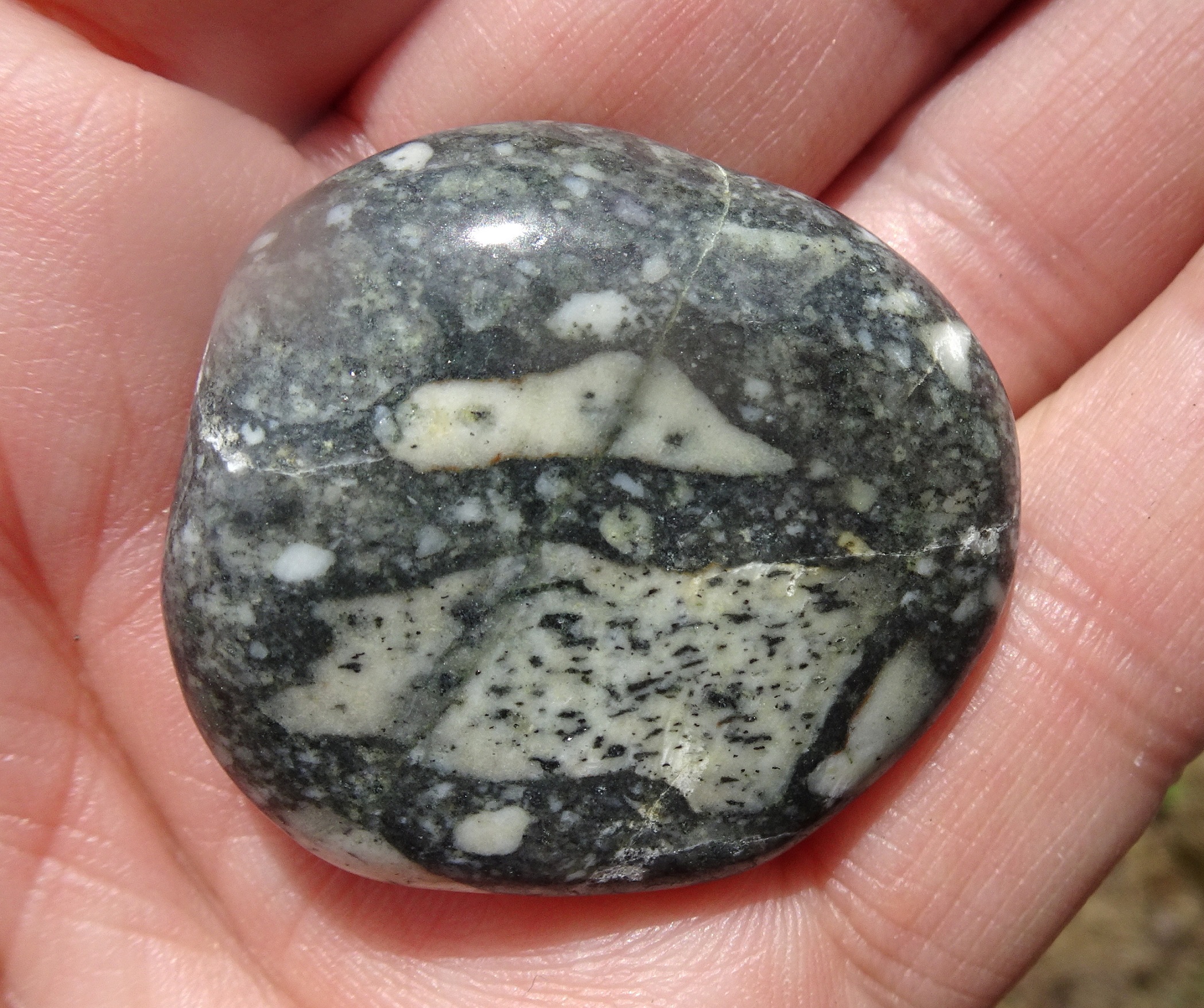 Breccia, made up of small angular stone fragments set in fine-grained matrix.