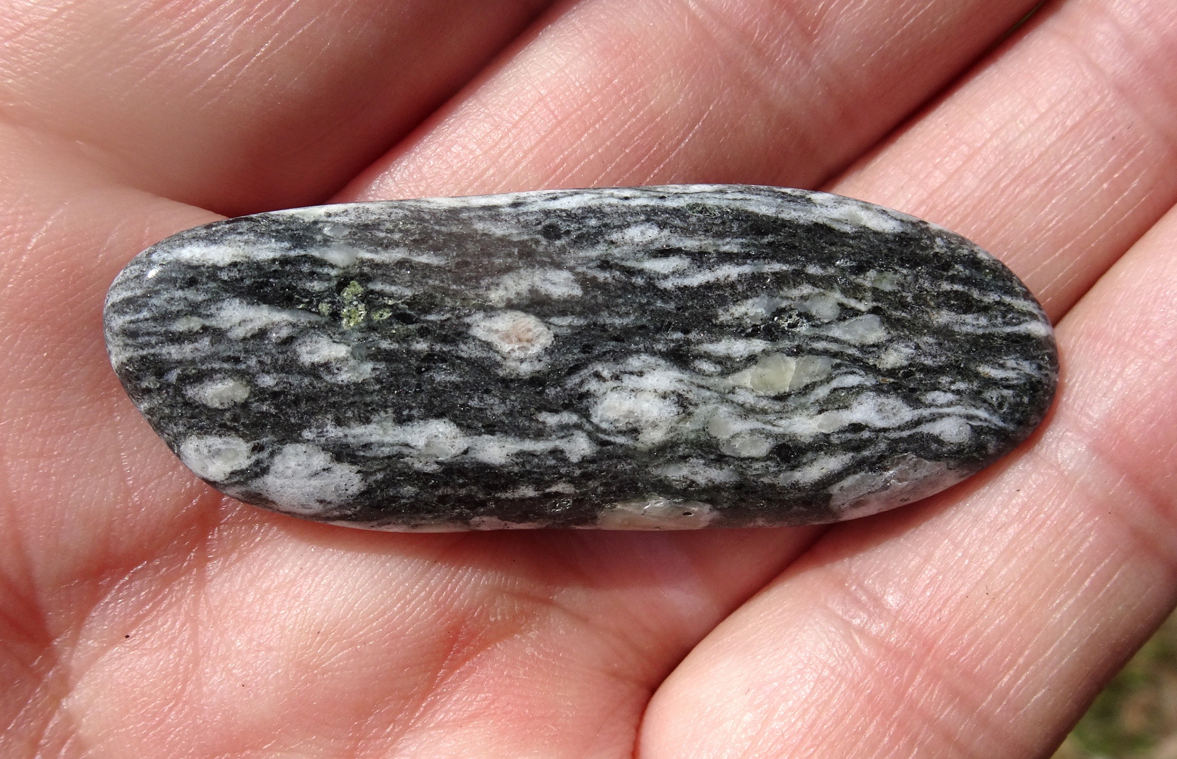 Schist or gneiss, with tiny mica specks.