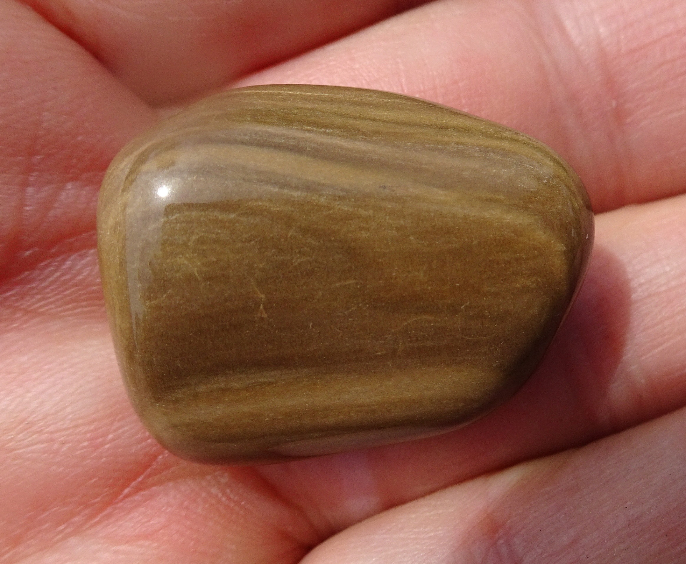 Petrified wood.
