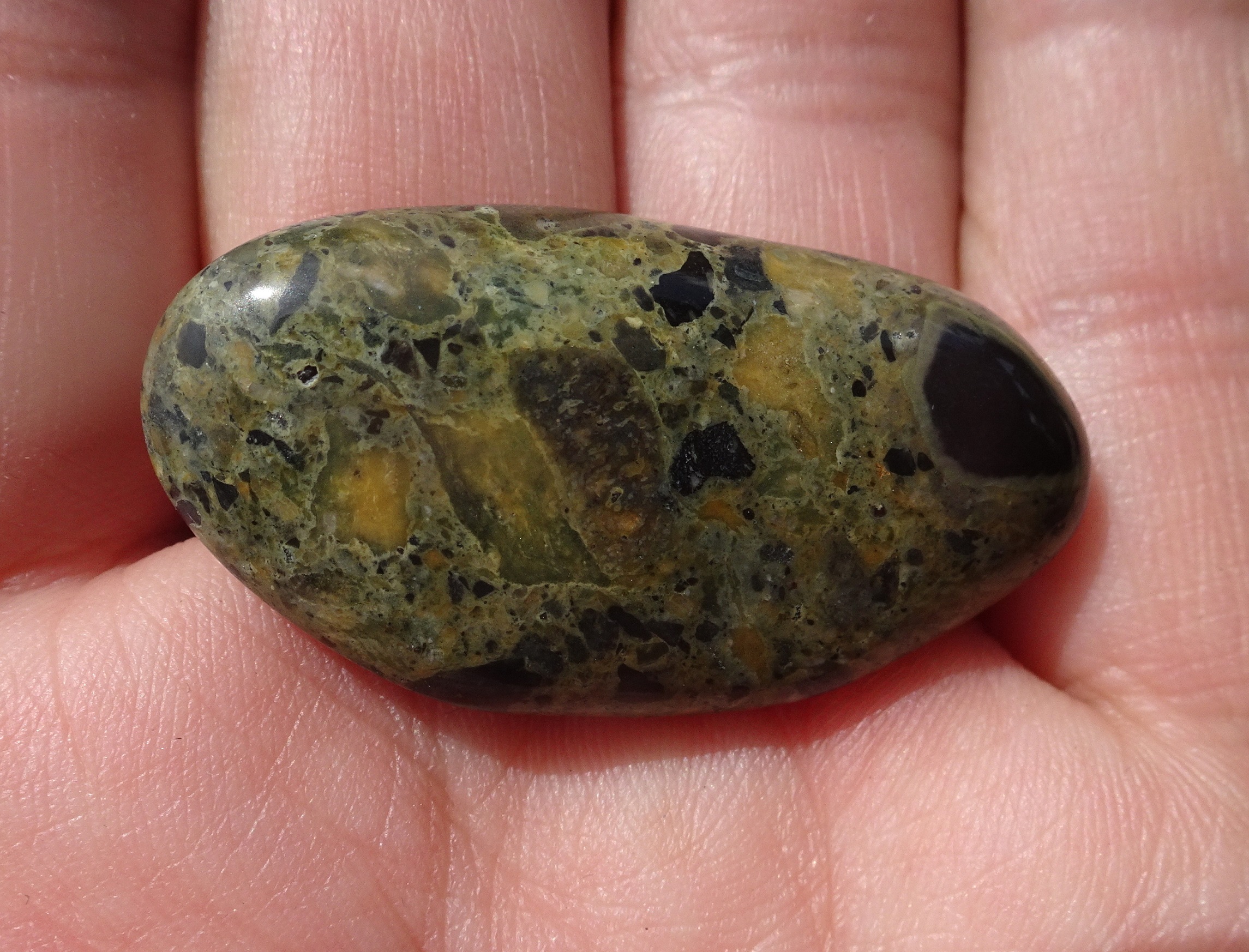 Conglomerate, rounded fragments in a fine-grained matrix.