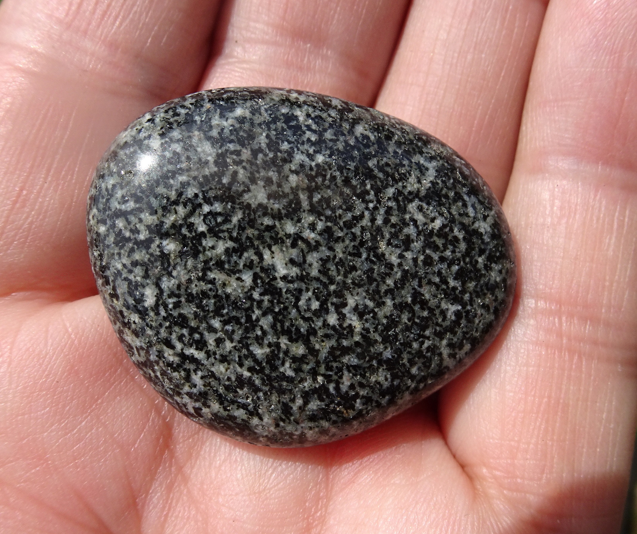 Complex of tiny black and white constituents.