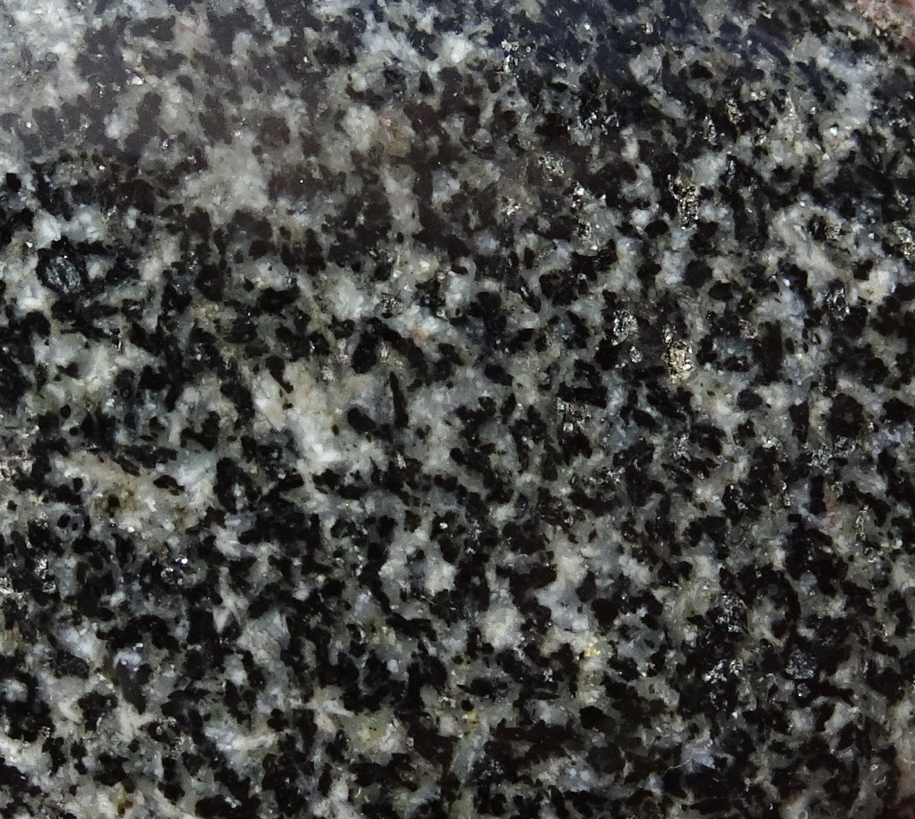 d36zz