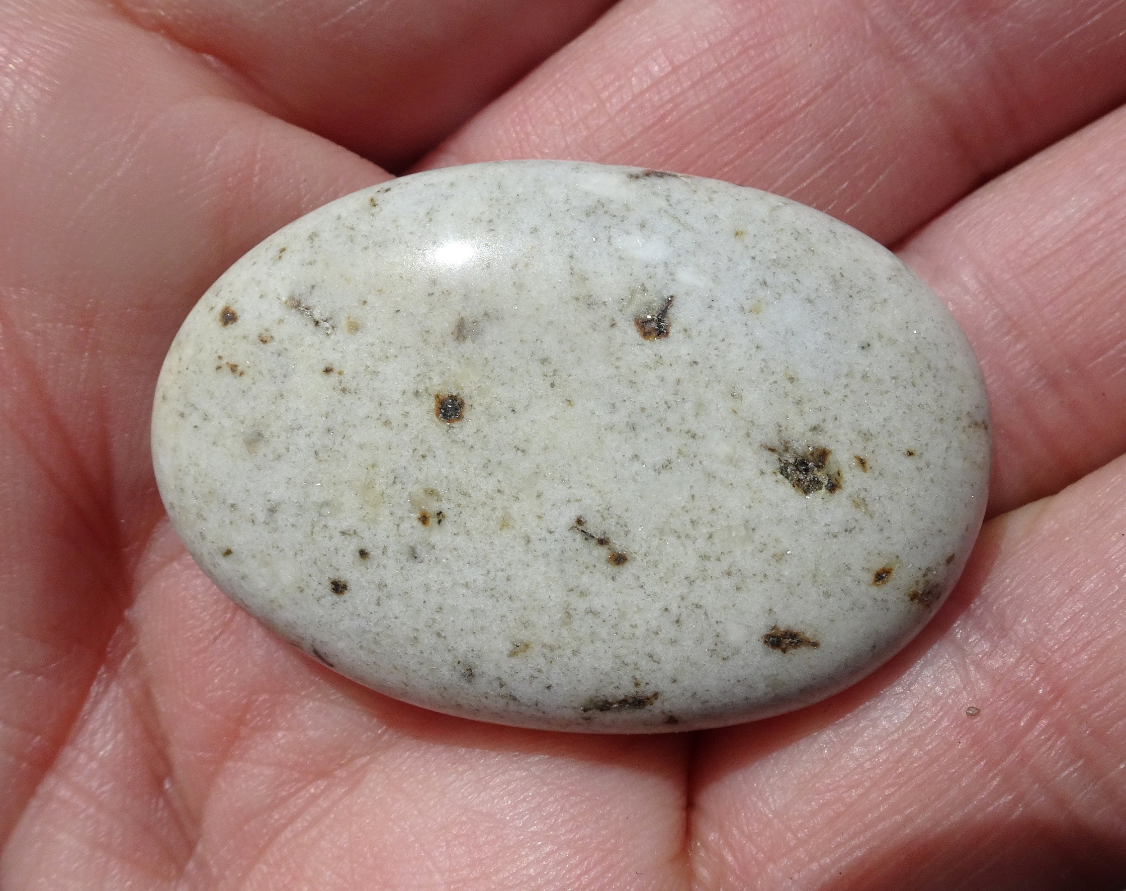 At first sight a uniform white with dark specks - but a closer viewing reveals a more complex composition.