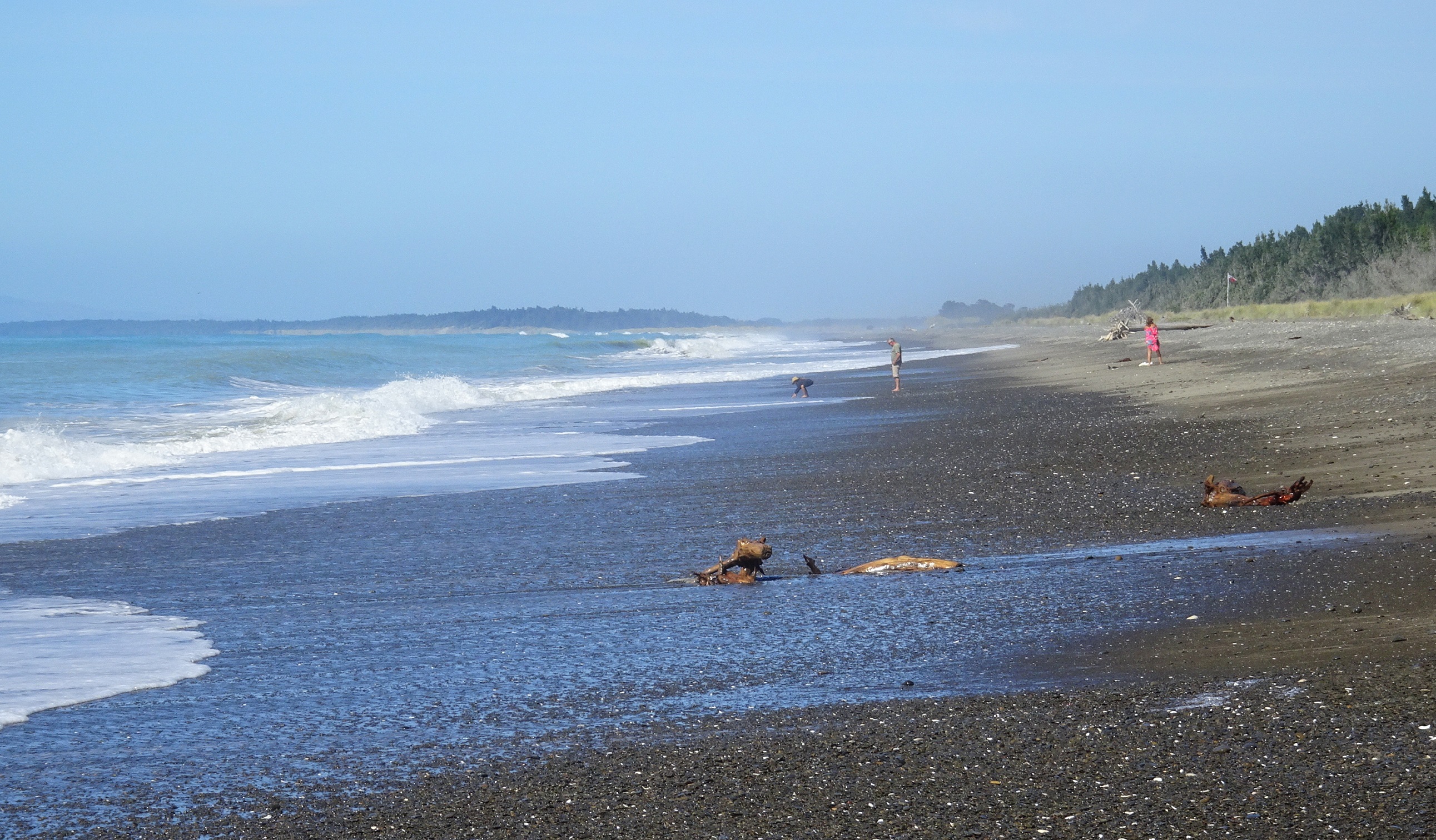 Leithfield Beach, looking south.