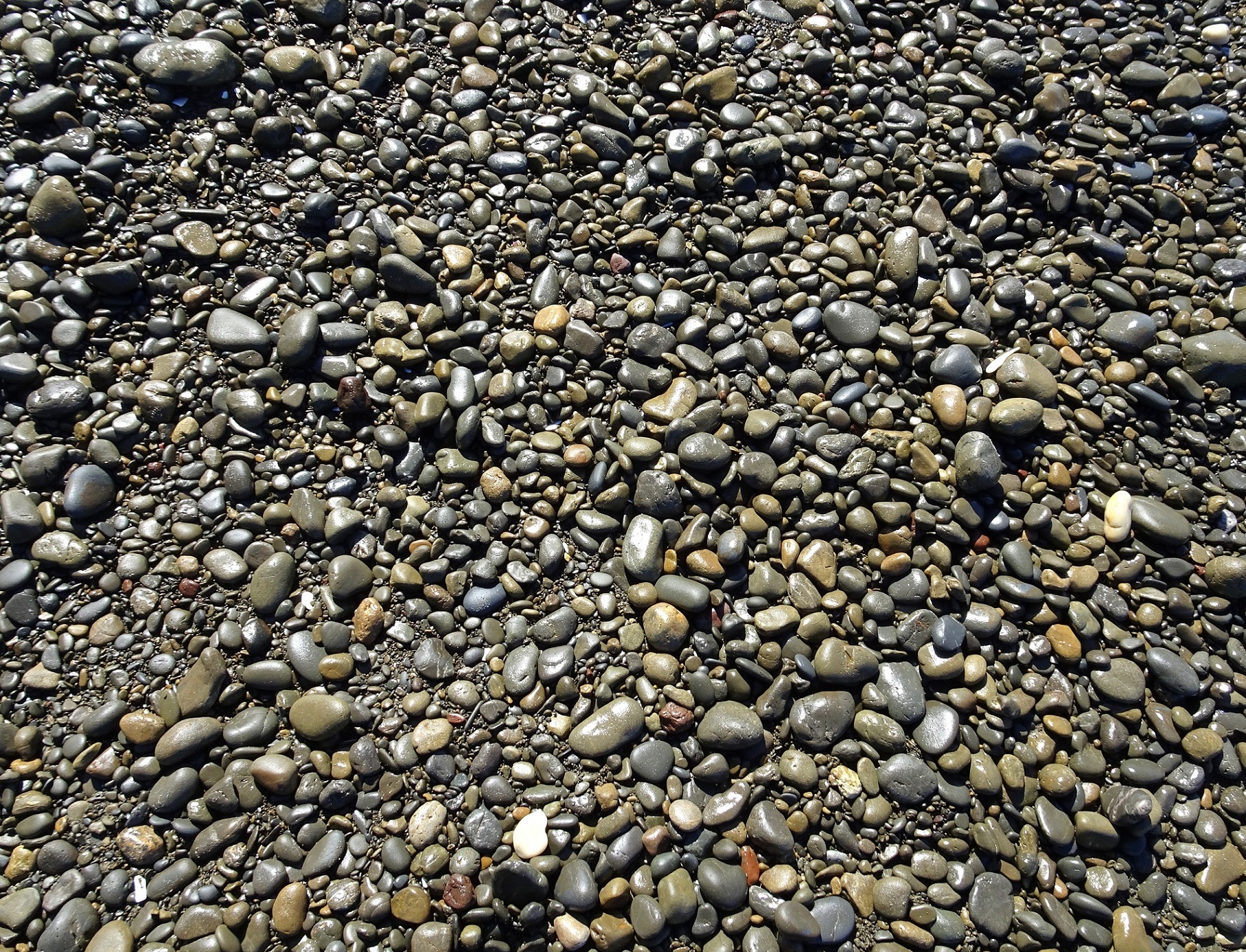 Leithfield Beach stones.