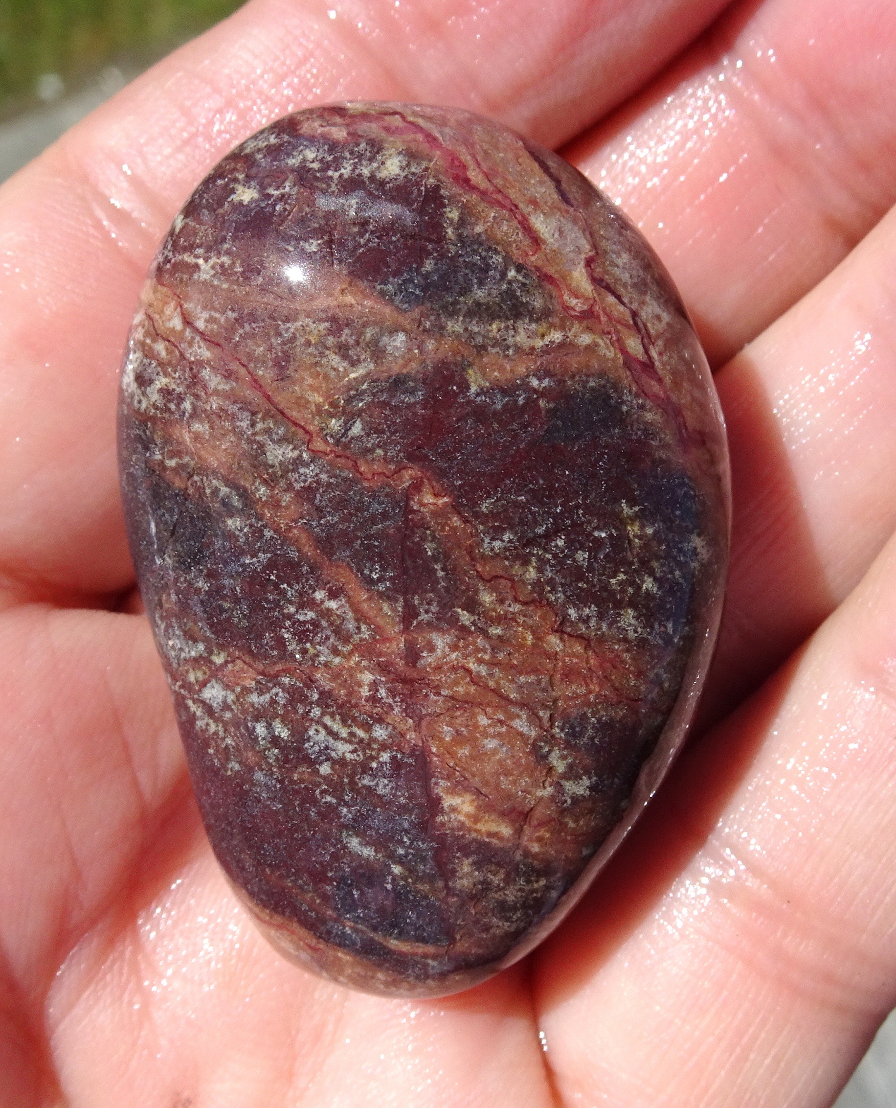 The tiny dark red veins caught my eye.