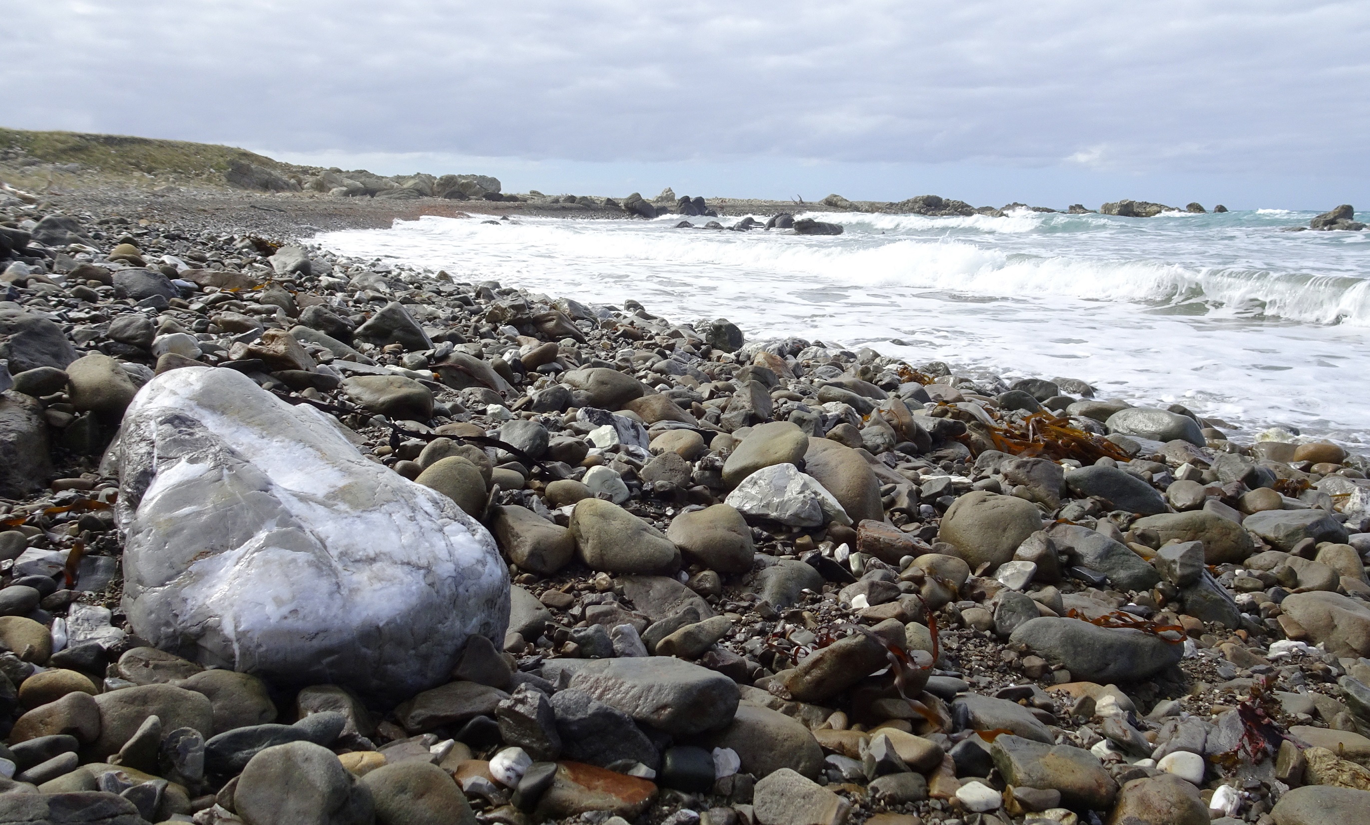 Okiwi Bay, looking north