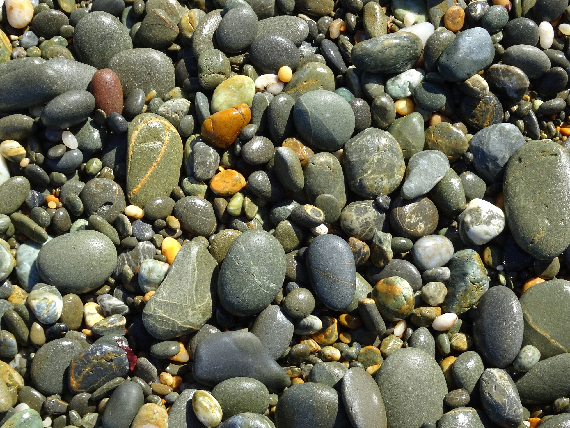 Kakanui Beach stones