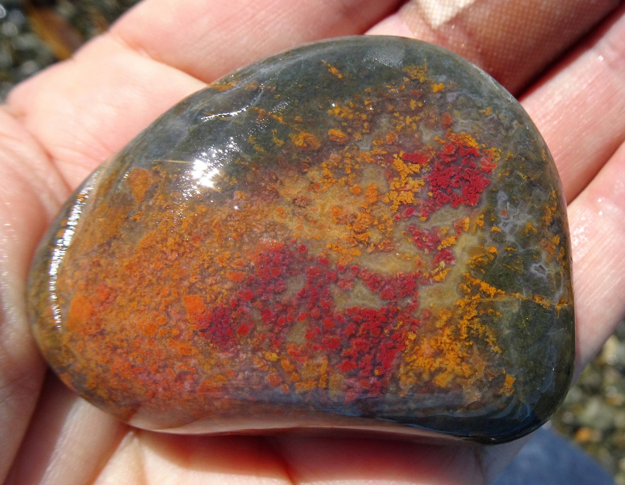 The find of the week!