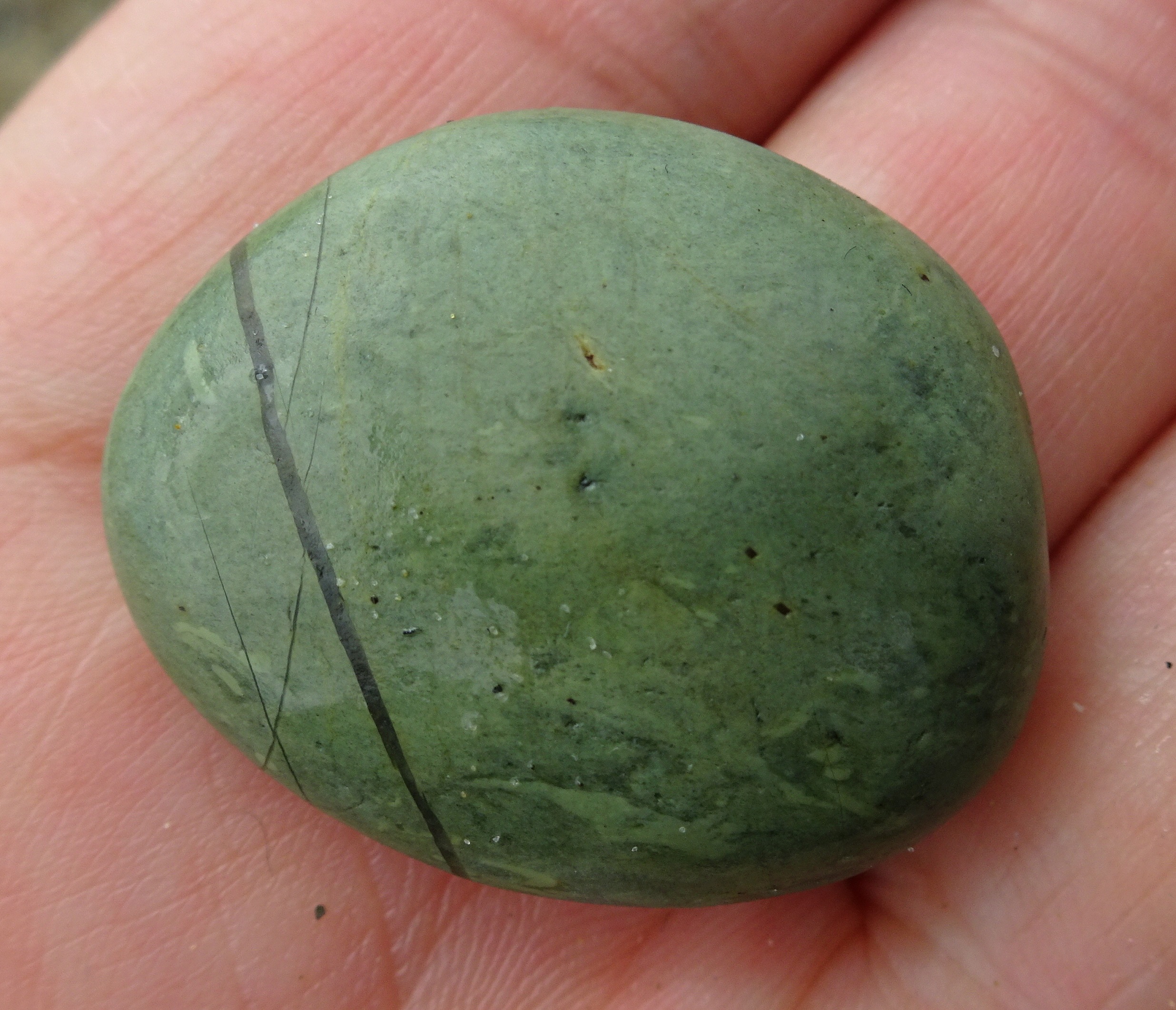 Small argillite, with trace fossils at the bottom.