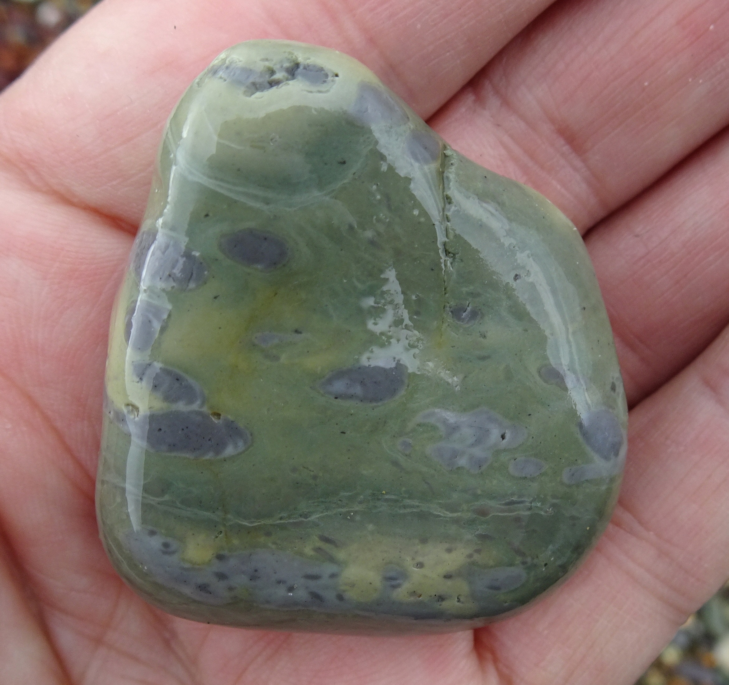 Another trace fossil stone, different colours.