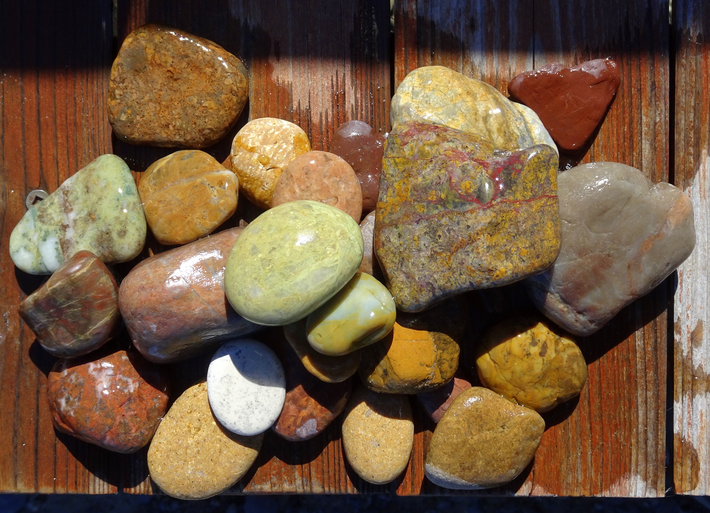 My small group of finds from Amberley Beach.