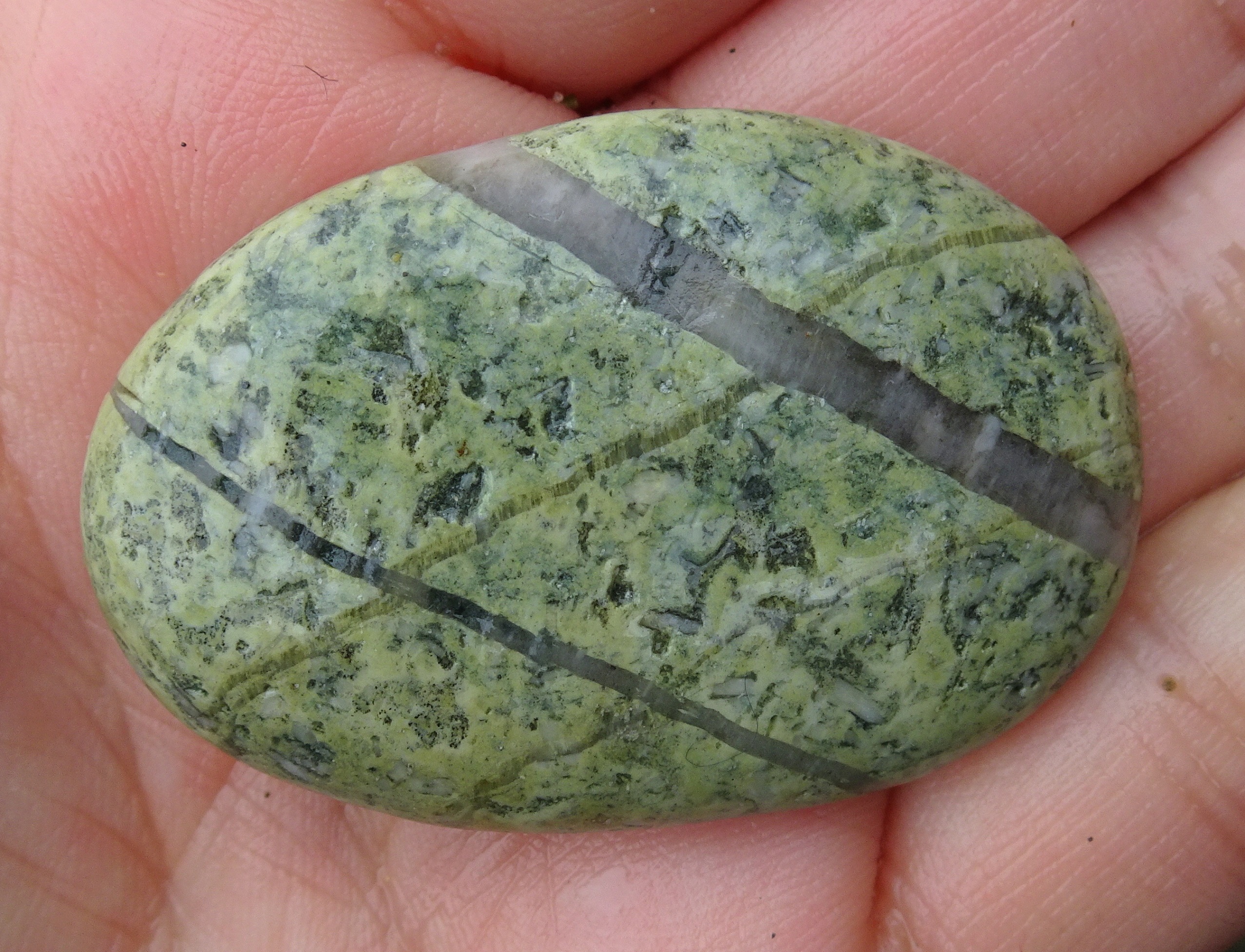 Interesting veins, some interrupted and offset.