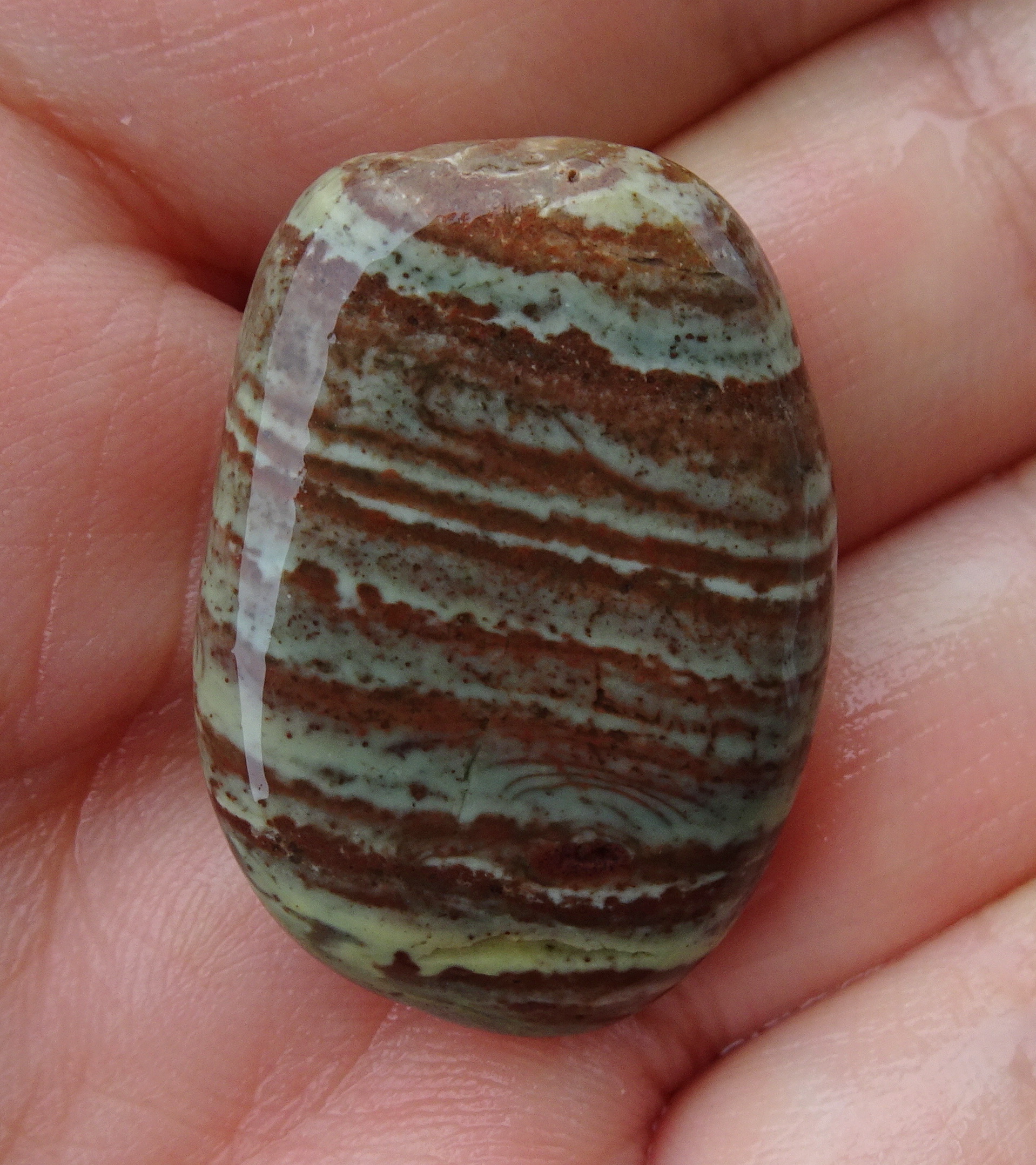 Small but noticeable due to the colourful bands.